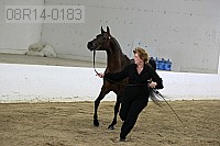 08r14-0183 proof