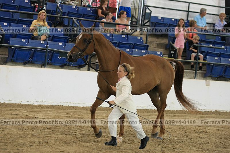 Proof 08r14-0199