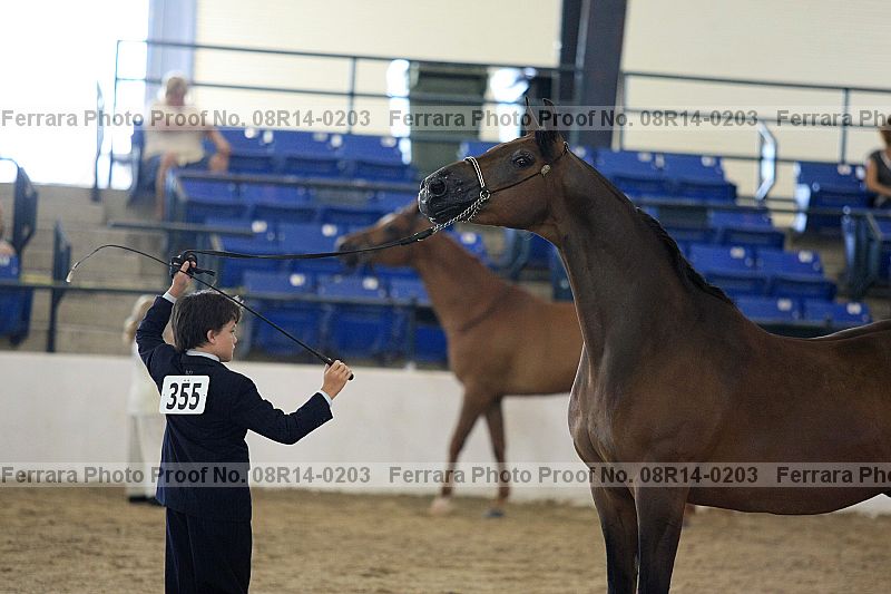 Proof 08r14-0203