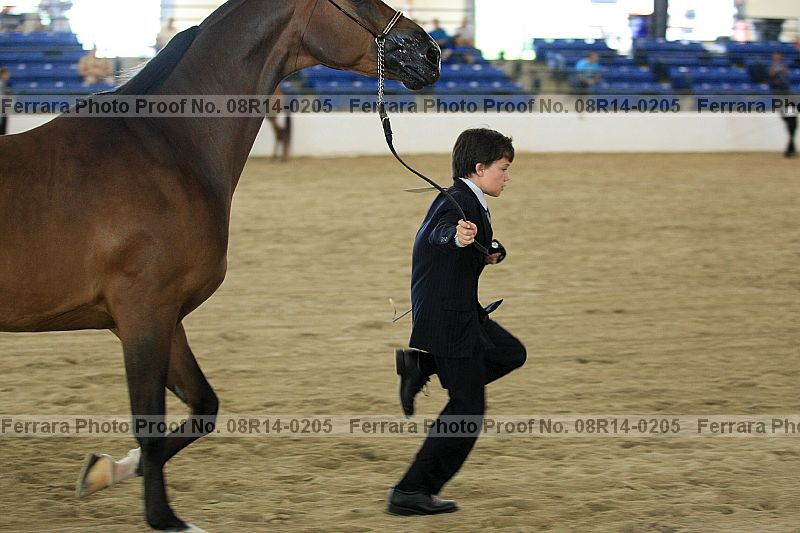 Proof 08r14-0205