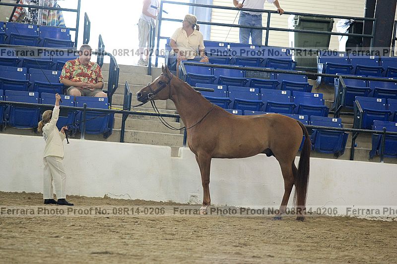 Proof 08r14-0206