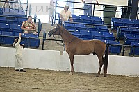 08r14-0206 proof
