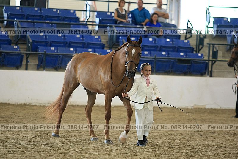 Proof 08r14-0207