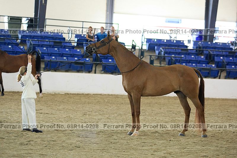 Proof 08r14-0208