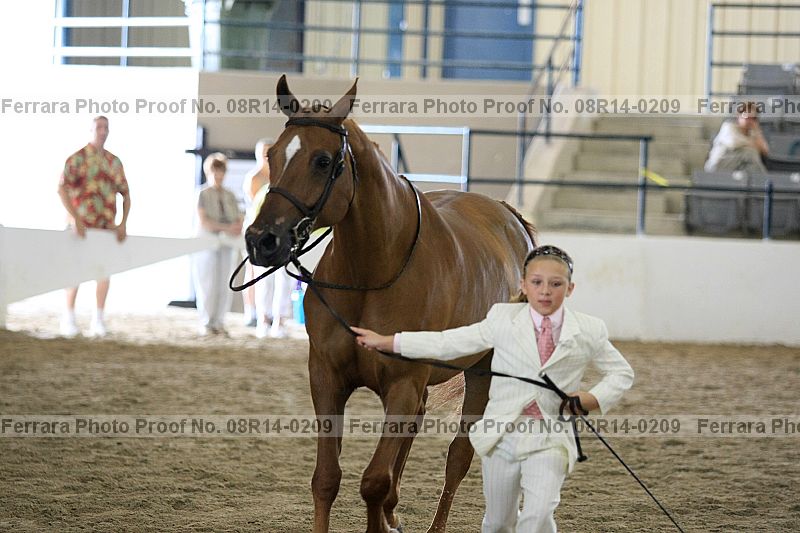 Proof 08r14-0209
