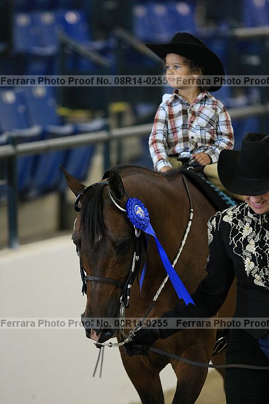 Proof 08r14-0255