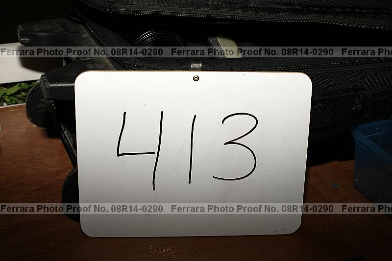 Proof 08r14-0290