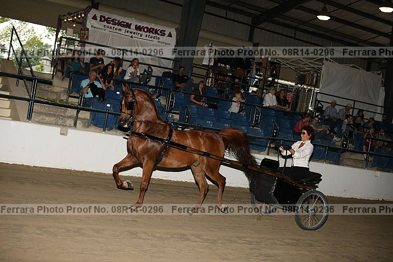 Proof 08r14-0296