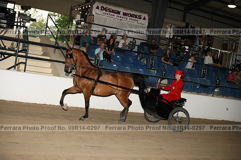 Proof 08r14-0297