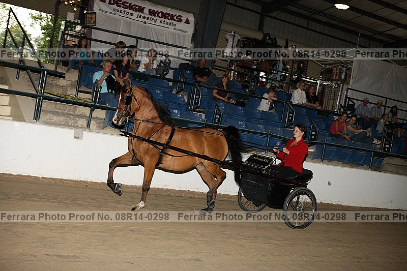 Proof 08r14-0298