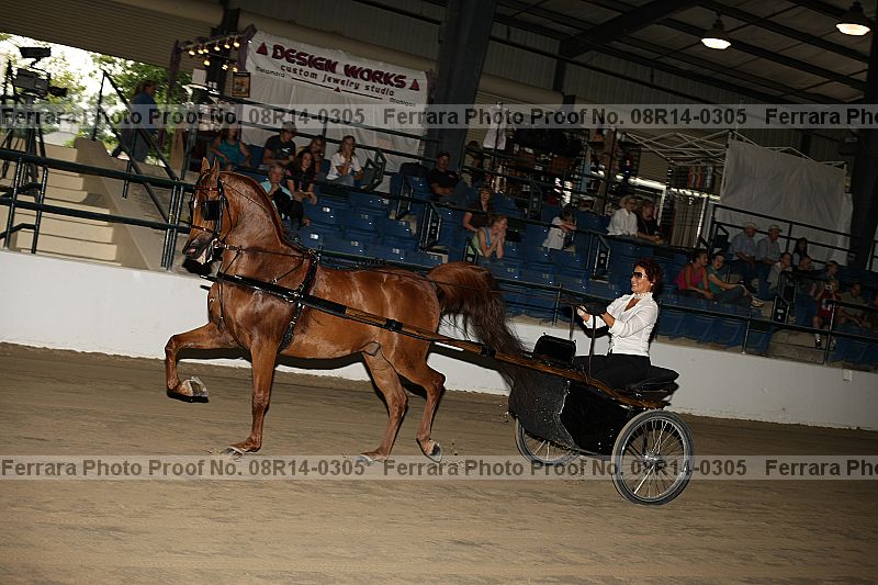Proof 08r14-0305