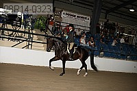 08r14-0323 proof