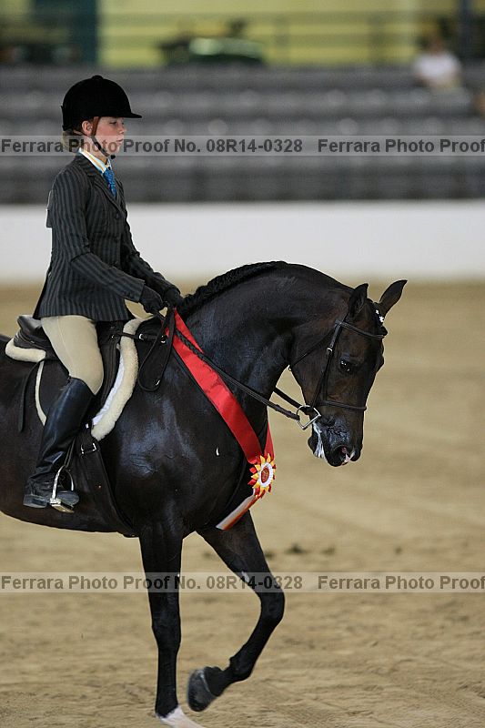 Proof 08r14-0328