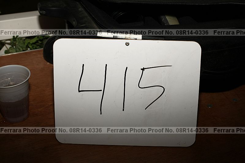 Proof 08r14-0336