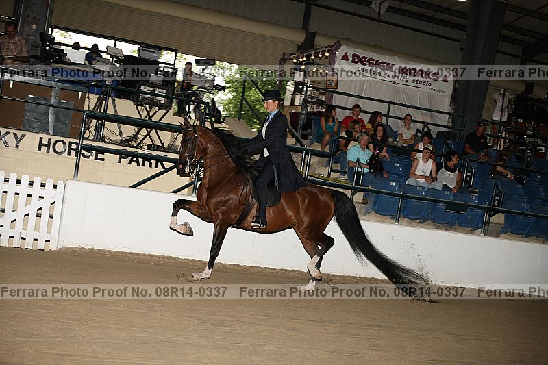 Proof 08r14-0337