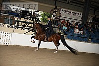08r14-0337 proof
