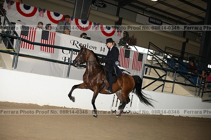 Proof 08r14-0346