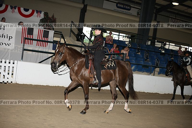 Proof 08r14-0378