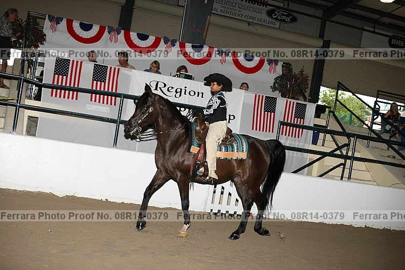 Proof 08r14-0379
