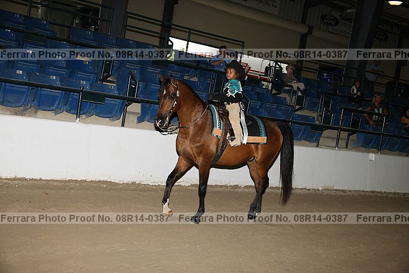 Proof 08r14-0387