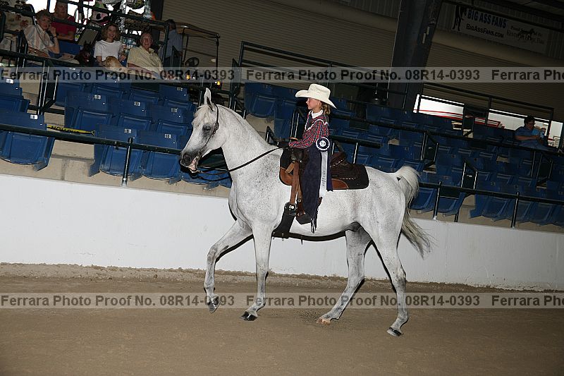 Proof 08r14-0393