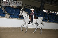08r14-0393 proof