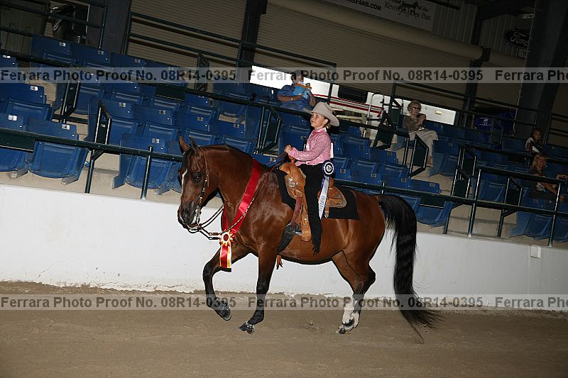 Proof 08r14-0395