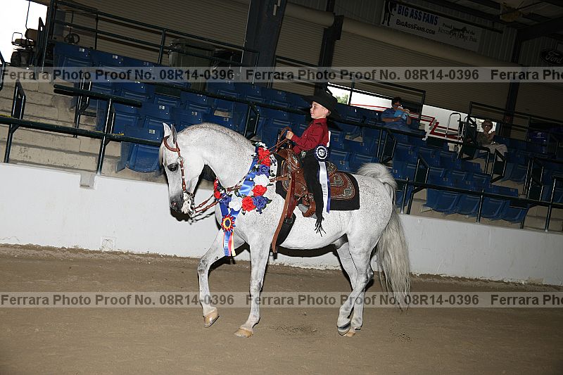 Proof 08r14-0396