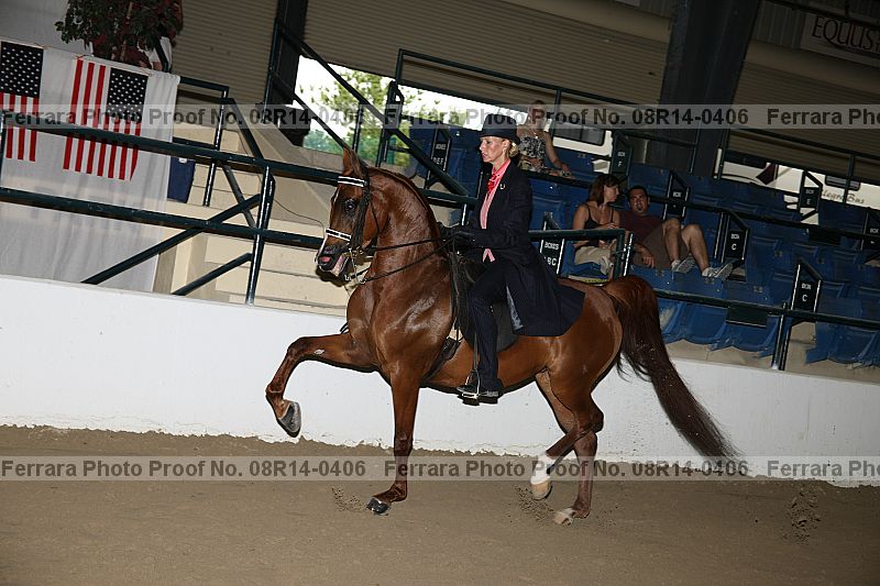 Proof 08r14-0406