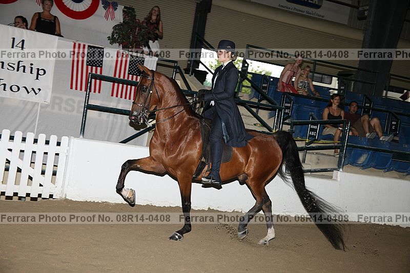 Proof 08r14-0408