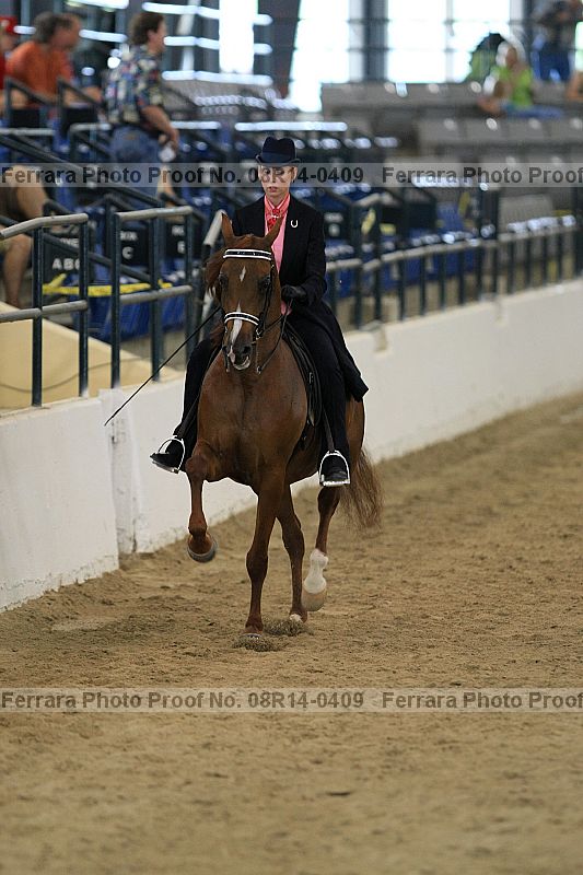Proof 08r14-0409