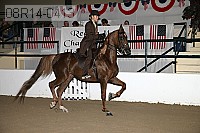 08r14-0413 proof