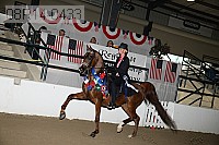 08r14-0433 proof