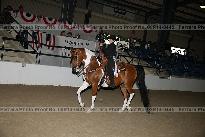 Proof 08r14-0445