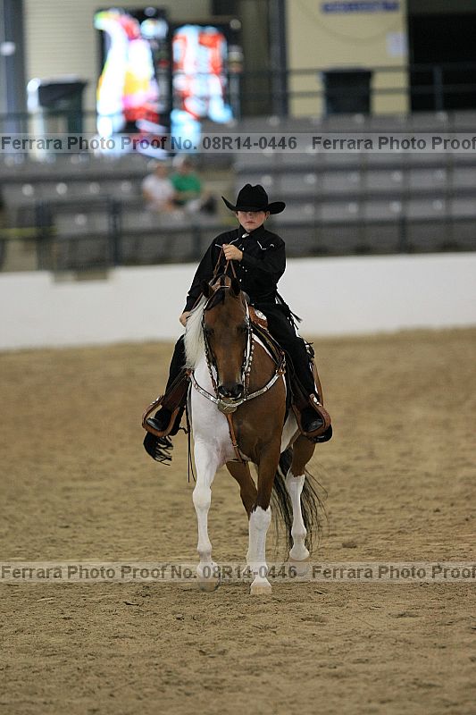 Proof 08r14-0446