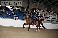 08r14-0466 proof