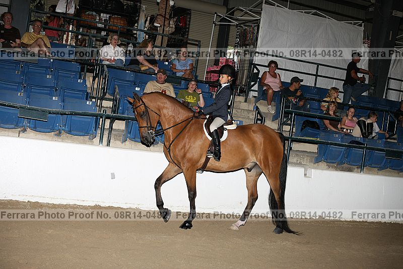 Proof 08r14-0482