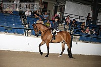 08r14-0482 proof