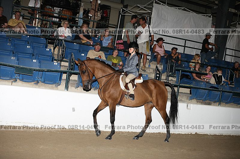 Proof 08r14-0483