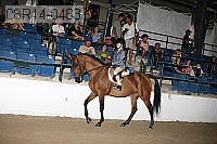 08r14-0483 proof