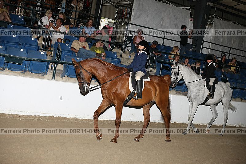 Proof 08r14-0484