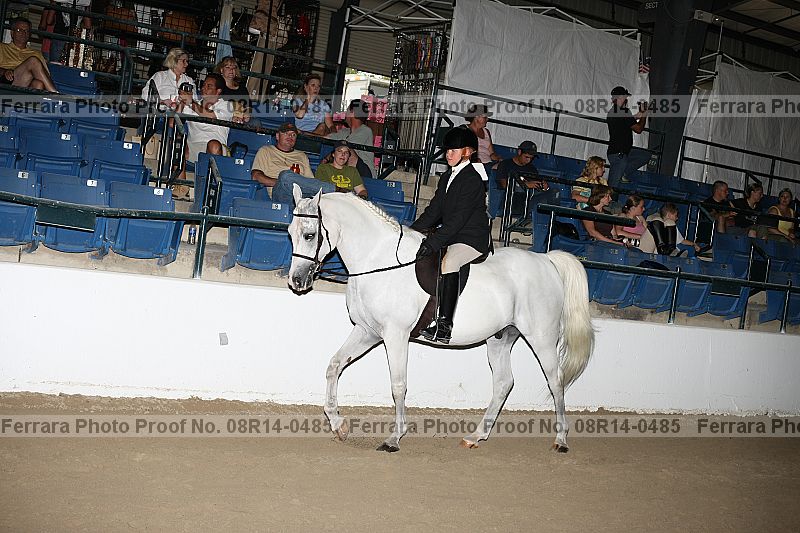 Proof 08r14-0485
