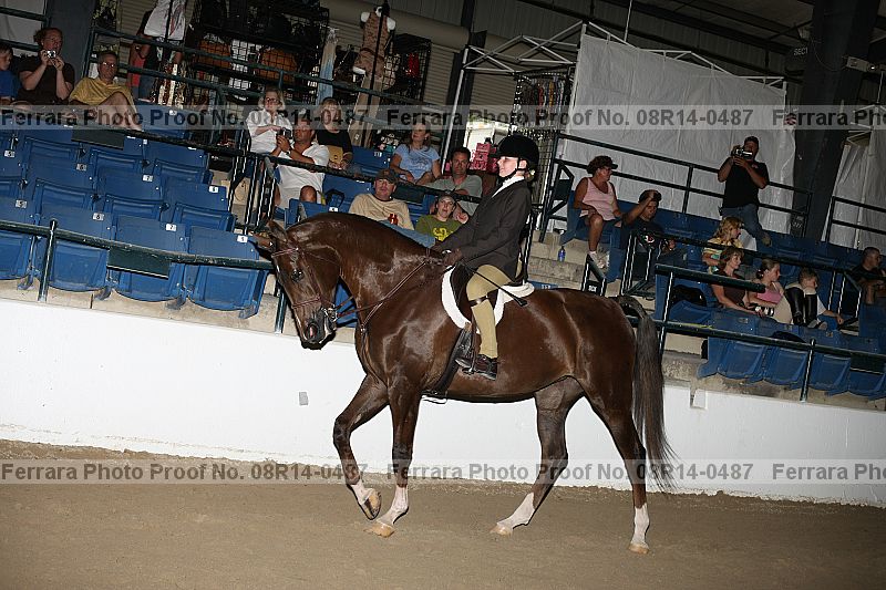 Proof 08r14-0487