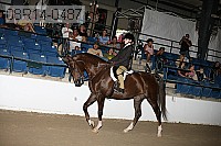08r14-0487 proof