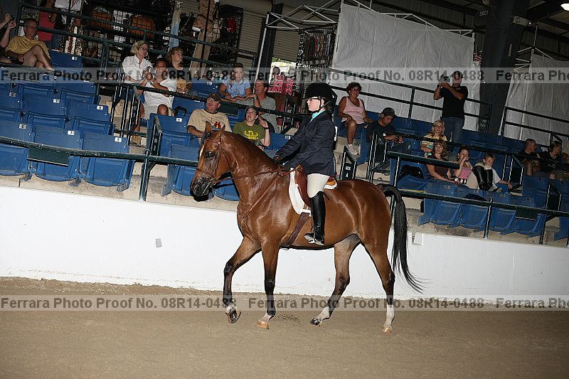 Proof 08r14-0488