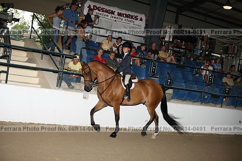 Proof 08r14-0491