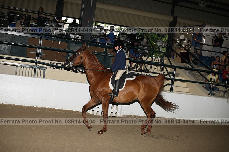 Proof 08r14-0494