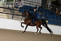 08r14-0521 proof