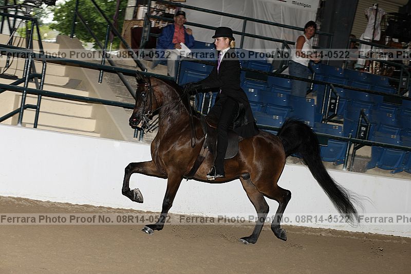 Proof 08r14-0522