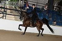 08r14-0522 proof